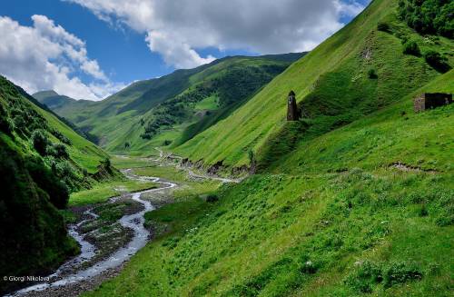 הגן הבוטני - נוף